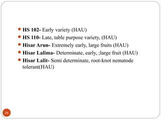 HS 102- Early variety (HAU)
HS 110- Late, table purpose variety, (HAU)
Hisar Arun- Extremely early, large fruits (HAU)
Hisar Lalima- Determinate, early, ;large fruit (HAU)
Hisar Lalit- Semi determinate, root-knot nematode
tolerant(HAU)
26
 