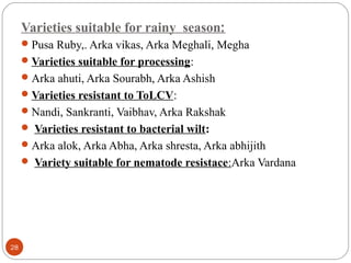 Varieties suitable for rainy season:
Pusa Ruby,. Arka vikas, Arka Meghali, Megha
Varieties suitable for processing:
Arka ahuti, Arka Sourabh, Arka Ashish
Varieties resistant to ToLCV:
Nandi, Sankranti, Vaibhav, Arka Rakshak
 Varieties resistant to bacterial wilt:
Arka alok, Arka Abha, Arka shresta, Arka abhijith
 Variety suitable for nematode resistace:Arka Vardana
28
 