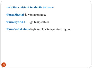 29
varieties resistant to abiotic stresses:
•Pusa Sheetal-low temperature;
•Pusa hybrid 1- High temperature.
•Pusa Sadabahar- high and low temperature region.
 