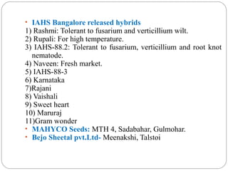 • IAHS Bangalore released hybrids
1) Rashmi: Tolerant to fusarium and verticillium wilt.
2) Rupali: For high temperature.
3) IAHS-88.2: Tolerant to fusarium, verticillium and root knot
nematode.
4) Naveen: Fresh market.
5) IAHS-88-3
6) Karnataka
7)Rajani
8) Vaishali
9) Sweet heart
10) Maruraj
11)Gram wonder
• MAHYCO Seeds: MTH 4, Sadabahar, Gulmohar.
• Bejo Sheetal pvt.Ltd- Meenakshi, Talstoi
 
