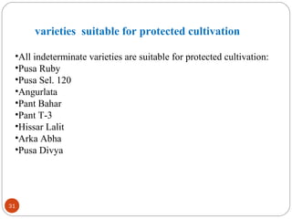 31
varieties suitable for protected cultivation
•All indeterminate varieties are suitable for protected cultivation:
•Pusa Ruby
•Pusa Sel. 120
•Angurlata
•Pant Bahar
•Pant T-3
•Hissar Lalit
•Arka Abha
•Pusa Divya
 