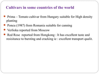 Cultivars in some countries of the world
 Prima – Tomato cultivar from Hungary suitable for High density
planting
 Poncu (1987) from Romania suitable for canning
 Verlioka reported from Moscow
 Red Rose reported from Hongkong : It has excellent taste and
resisitance to bursting and cracking ie : excellent transport qualit.
 