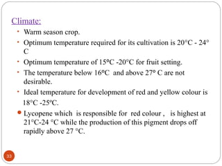 Climate:
33
• Warm season crop.
• Optimum temperature required for its cultivation is 20°C - 24°
C
• Optimum temperature of 15°C -20°C for fruit setting.
• The temperature below 16°C and above 27° C are not
desirable.
• Ideal temperature for development of red and yellow colour is
18°C -25ºC.
Lycopene which is responsible for red colour , is highest at
21°C-24 °C while the production of this pigment drops off
rapidly above 27 °C.
 