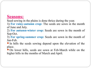 Seasons:
Seed sowing in the plains is done thrice during the year.
1) For rainy-autumn crop: The seeds are sown in the month
of June and July.
2) For autumn-winter crop: Seeds are sown in the month of
Sep-Oct.
3) For spring-summer crop: Seeds are sown in the month of
Jan-Feb.
In hills the seeds sowing depend upon the elevation of the
place.
On lower hills, seeds are sown at Feb-March while on the
higher hills in the months of March and April.
 