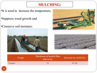 Crops
Thickness of mulch film
(micron)
Increase in yield (%)
Tomato 25 45-50
MULCHING:
•It is used to increase the temperature,
•Suppress weed growth and
•Conserve soil moisture.
40
 
