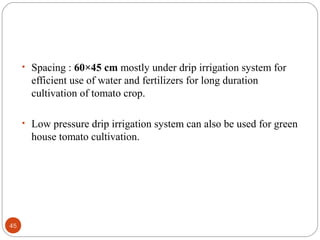 45
• Spacing : 60×45 cm mostly under drip irrigation system for
efficient use of water and fertilizers for long duration
cultivation of tomato crop.
• Low pressure drip irrigation system can also be used for green
house tomato cultivation.
 