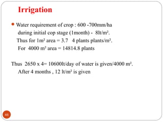 Irrigation
46
Water requirement of crop : 600 -700mm/ha
during initial cop stage (1month) - 8lt/m².
Thus for 1m² area = 3.7 4 plants plants/m².
For 4000 m² area = 14814.8 plants
Thus 2650 x 4= 10600lt/day of water is given/4000 m².
After 4 months , 12 lt/m² is given
 