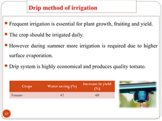 Drip method of irrigation
Frequent irrigation is essential for plant growth, fruiting and yield.
The crop should be irrigated daily.
However during summer more irrigation is required due to higher
surface evaporation.
Drip system is highly economical and produces quality tomato.
Crops Water saving (%)
Increase in yield
(%)
Tomato 42 60
47
 