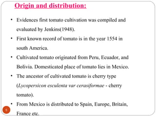 5
Origin and distribution:
• Evidences first tomato cultivation was compiled and
evaluated by Jenkins(1948).
• First known record of tomato is in the year 1554 in
south America.
• Cultivated tomato originated from Peru, Ecuador, and
Bolivia. Domesticated place of tomato lies in Mexico.
• The ancestor of cultivated tomato is cherry type
(Lycopersicon esculenta var cerasiformae - cherry
tomato).
• From Mexico is distributed to Spain, Europe, Britain,
France etc.
 