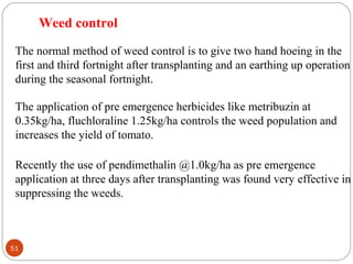 51
Weed control
The normal method of weed control is to give two hand hoeing in the
first and third fortnight after transplanting and an earthing up operation
during the seasonal fortnight.
The application of pre emergence herbicides like metribuzin at
0.35kg/ha, fluchloraline 1.25kg/ha controls the weed population and
increases the yield of tomato.
Recently the use of pendimethalin @1.0kg/ha as pre emergence
application at three days after transplanting was found very effective in
suppressing the weeds.
 