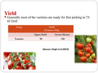 Yield
Generally most of the varieties are ready for first picking in 75-
85 DAT.
Crop Yield
(Tonnes/Ha)
Open field Green House
Tomato 50 150
(Source: Singh et al.2013)
 