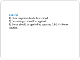 Control
1) Over irrigation should be avoided
2) Less nitrogen should be applied
3) Boron should be applied by spraying 0.3-0.4% borax
solution.
 