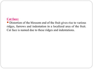 Cat face:
Distortion of the blossom end of the fruit gives rise to various
ridges, furrows and indentation in a localized area of the fruit.
Cat face is named due to these ridges and indentations.
 