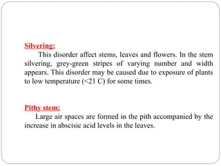 Silvering:
This disorder affect stems, leaves and flowers. In the stem
silvering, grey-green stripes of varying number and width
appears. This disorder may be caused due to exposure of plants
to low temperature (<21 C) for some times.
Pithy stem:
Large air spaces are formed in the pith accompanied by the
increase in abscisic acid levels in the leaves.
 