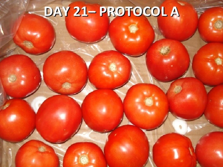 Tomato Shelf Life Testing