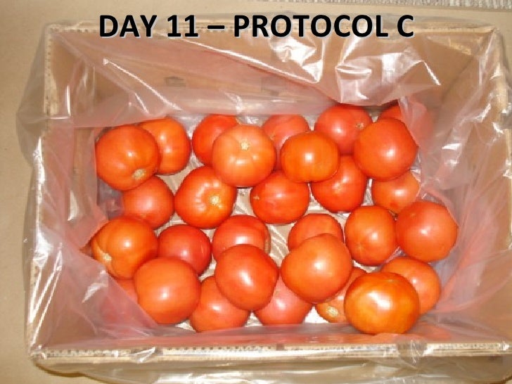 Tomato Shelf Life Testing
