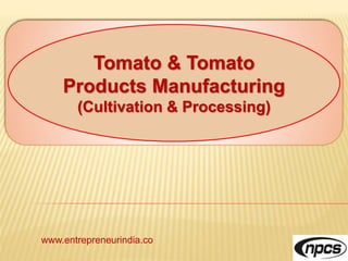 www.entrepreneurindia.co
Tomato & Tomato
Products Manufacturing
(Cultivation & Processing)
 