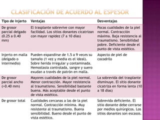 Tipo de injerto   Ventajas                                    Desventajas
De grosor         El trasplante sobrevive con mayor           Pocas cualidades de la piel
parcial delgado   facilidad. Los sitios donantes cicatrizan   normal. Contracción
(0.25 a 0.40      con mayor rapidez (7 a 10 días)             máxima. Baja resistencia al
mm)                                                           traumatismo. Sensibilidad
                                                              pobre. Deficiente desde el
                                                              punto de vista estético.
Injerto en malla Pueden expandirse de 1.5 a 9 veces su        Aspecto de piel de
(delgado o       tamaño (1 vez y media es el ideal).          cocodrilo
intermedio)      Sobre herida irregular y contaminada.
                 Hemostasia controlada, sangre y suero
                 exudan a través de patrón en malla.
De grosor         Mayores cualidades de la piel normal.       La sobrevida del trasplante
parcial ancho     Menor contracción. Mayor resistencia        disminuye. El sitio donante
(>0.40 mm)        al traumatismo. Sensibilidad bastante       cicatriza en forma lenta (10
                  buena. Más aceptable desde el punto         a 18 días)
                  de vista estético.
De grosor total   Cualidades cercanas a las de la piel        Sobrevida deficiente. El
                  normal. Contracción mínima. Muy             sitio donante debe cerrarse
                  resistente al traumatismo. Buena            por medios quirúrgicos. Los
                  sensibilidad. Bueno desde el punto de       sitios donantes son escasos.
                  vista estético.
 