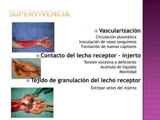  Vascularización
                              Circulación plasmática
                     Inoculación de vasos sanguíneos
                      Formación de nuevos capilares

    Contacto    del lecho receptor – injerto
                       Tensión excesiva o deficiente
                                Acúmulo de líquidos
                                           Movilidad

 Tejido   de granulación del lecho receptor
                           Extirpar antes del injerto
 