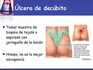 Toma Y Tr..