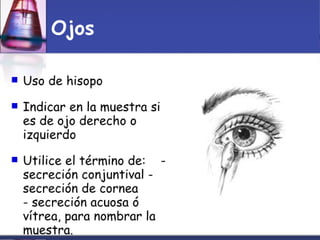 Toma Y Tr..