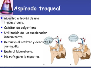 Toma Y Tr..