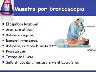 Toma Y Tr..