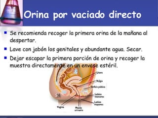 Toma Y Tr..