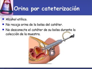 Toma Y Tr..