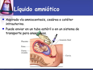 Toma Y Tr..