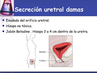 Toma Y Tr..