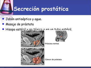 Toma Y Tr..