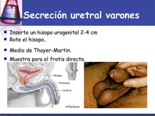 Toma Y Tr..