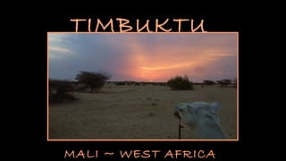 TIMBUKTU




MALI ~ WEST AFRICA
 