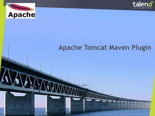 Apache Tomcat Maven Plugin
 