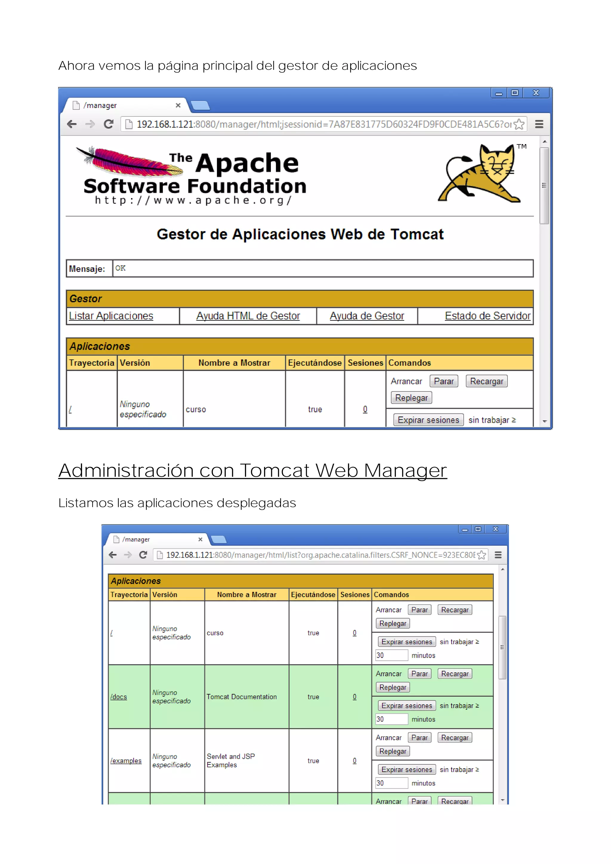 Ahora vemos la página principal del gestor de aplicaciones

Administración con Tomcat Web Manager
Listamos las aplicaciones desplegadas

 
