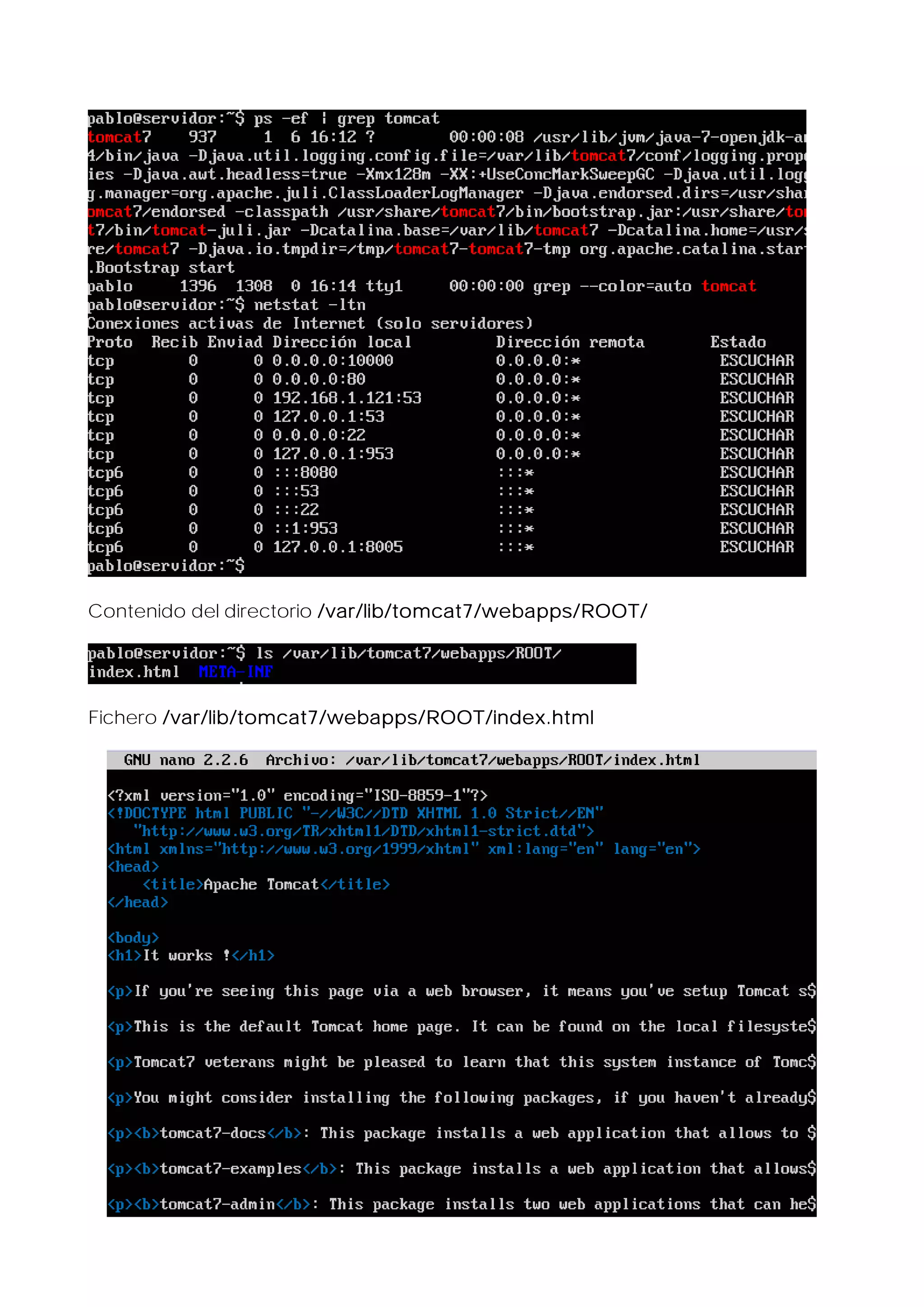 Contenido del directorio /var/lib/tomcat7/webapps/ROOT/

Fichero /var/lib/tomcat7/webapps/ROOT/index.html

 