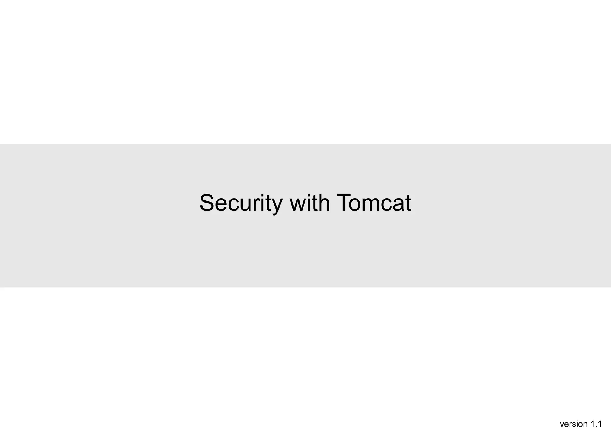Security with Tomcat

version 1.1

 