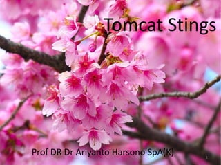 Tomcat Stings
Prof DR Dr Ariyanto Harsono SpA(K) 1
 