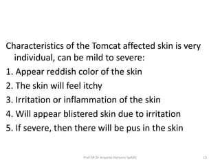 Tomcat Insect Rash Tomcat stings | PPTX