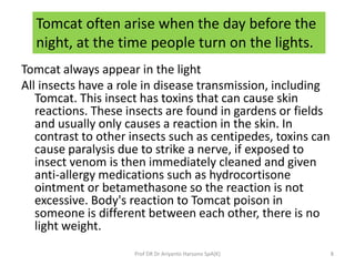 Tomcat Insect Rash Tomcat stings | PPTX