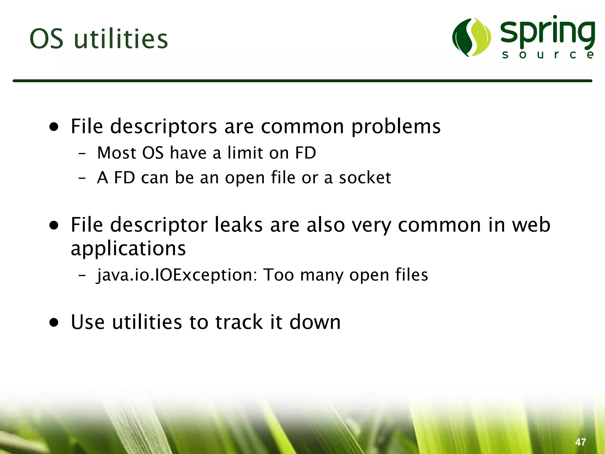 OS utilities


 • File descriptors are common problems
    – Most OS have a limit on FD
    – A FD can be an open file or a socket

 • File descriptor leaks are also very common in web
   applications
    – java.io.IOException: Too many open files

 • Use utilities to track it down




                                                       47
 