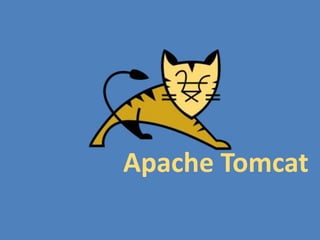 Apache Tomcat
 