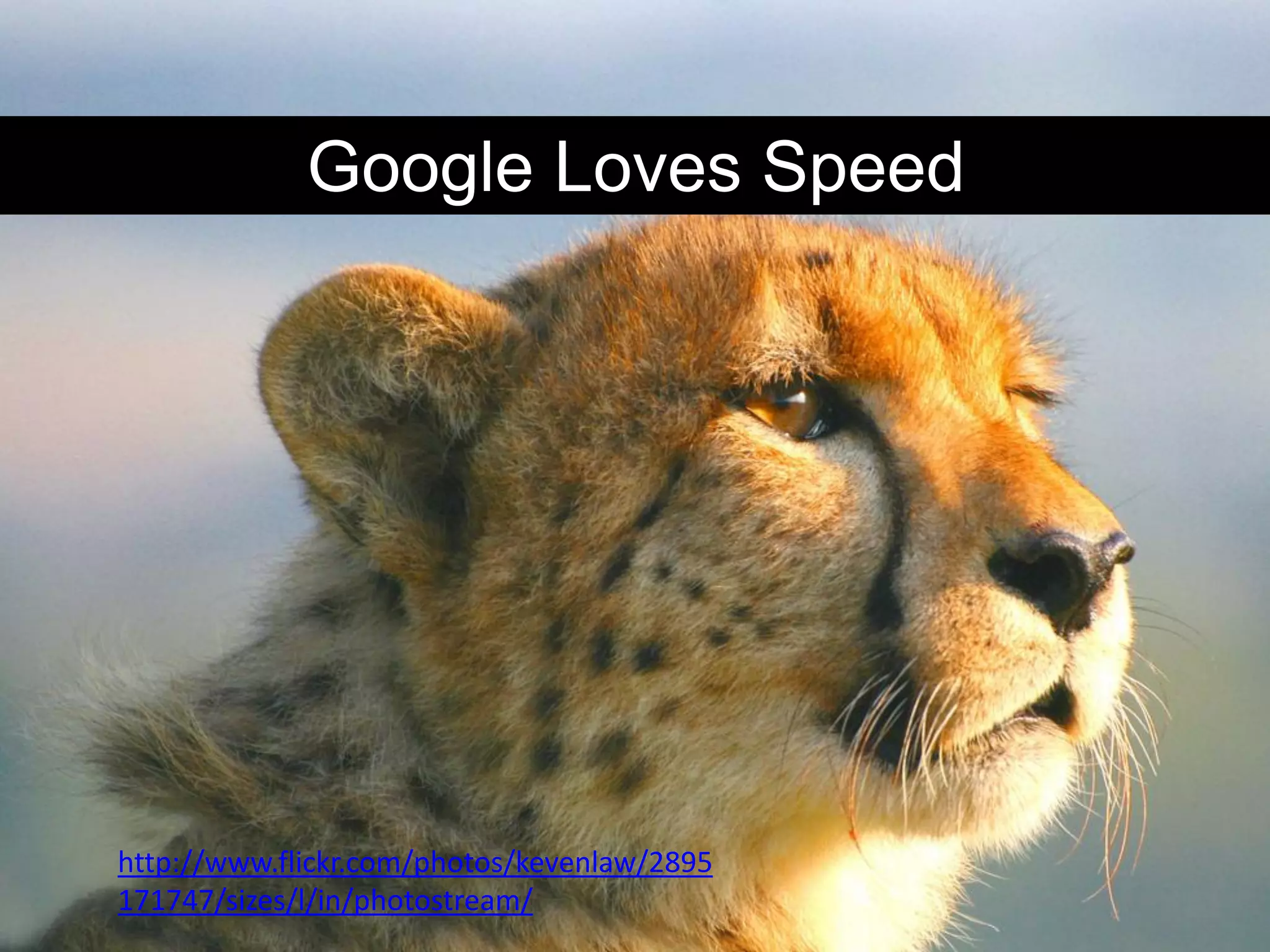 Google Loves Speed




http://www.flickr.com/photos/kevenlaw/2895
171747/sizes/l/in/photostream/
 