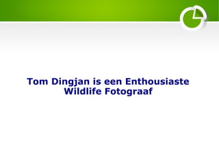 Tom Dingjan is een Enthousiaste
Wildlife Fotograaf
 