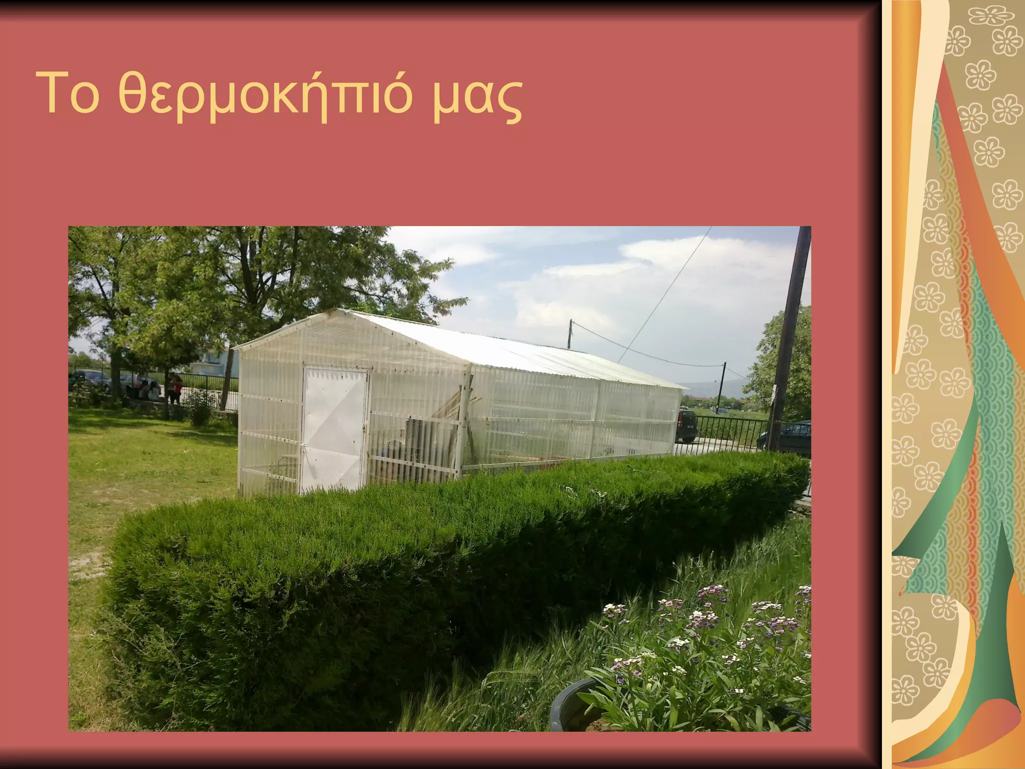 Το θερμοκήπιό μας
 
