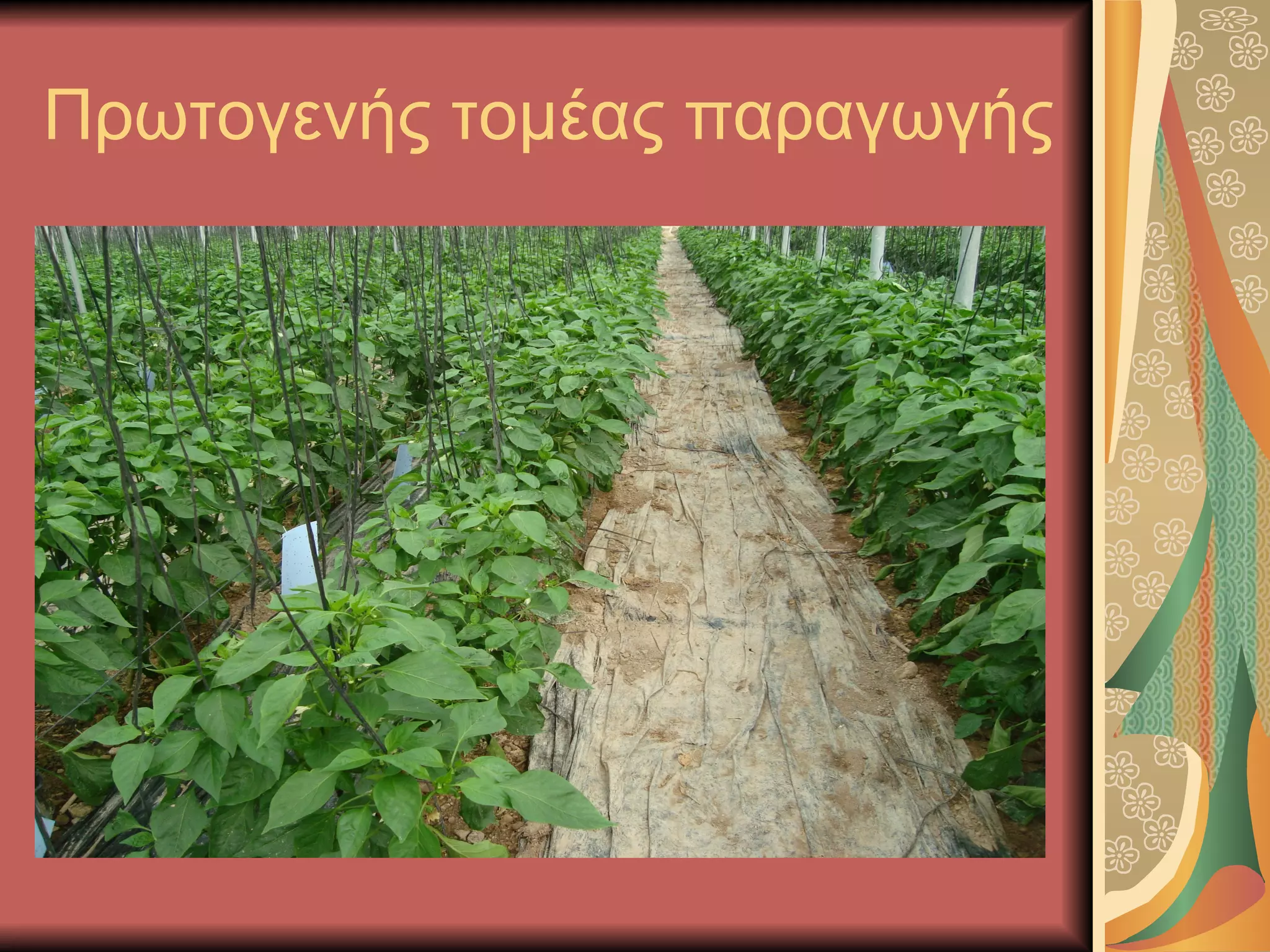 Πρωτογενής τομέας παραγωγής
 