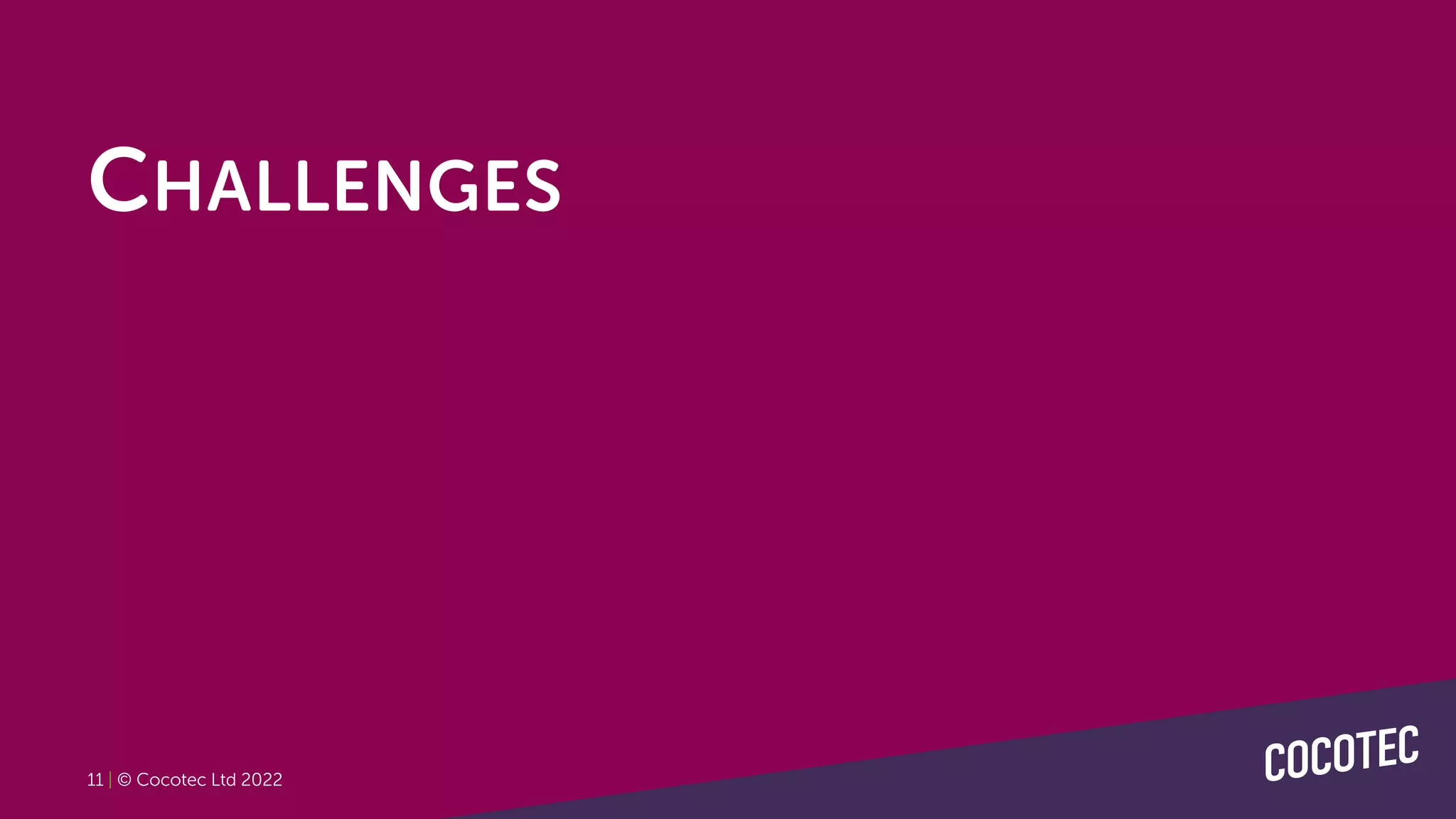 11 | © Cocotec Ltd 2022
CHALLENGES
 