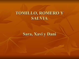 TOMILLO, ROMERO Y SALVIA Sara, Xavi y Dani 