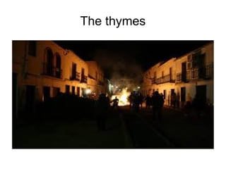 The thymes
 